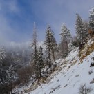 Big Bear WInter