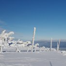 Karkonosze