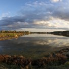 Saline