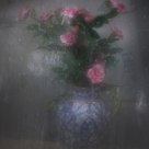 Decay