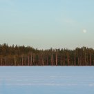 Frosty moon