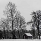 The red cabin
