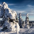 Winter in Lapland