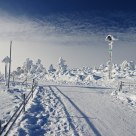 Trail