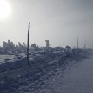 in the clouds