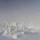 Silence...