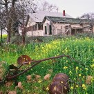 Ali's Farm