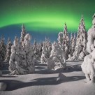 Moonlit auroras