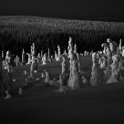 BW light