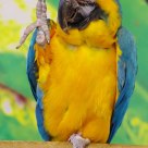 High Four!