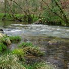 Rio Almofrei 