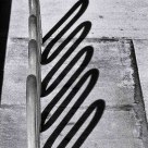 Shadows And Curves