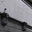 Loneliness