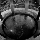 Source 