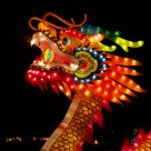 Dragonhead. 