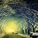 Street after snow