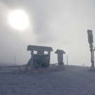 The fog