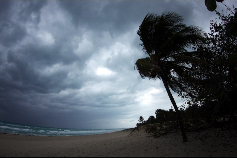 Tropical storm in act