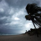 Tropical storm in act