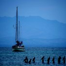 L'isola che non c'è