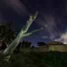 La casa del pino