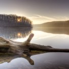 Log at Tucker.