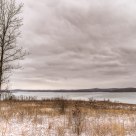 Lonely Tree.