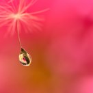 Voyage vers l'inconnu