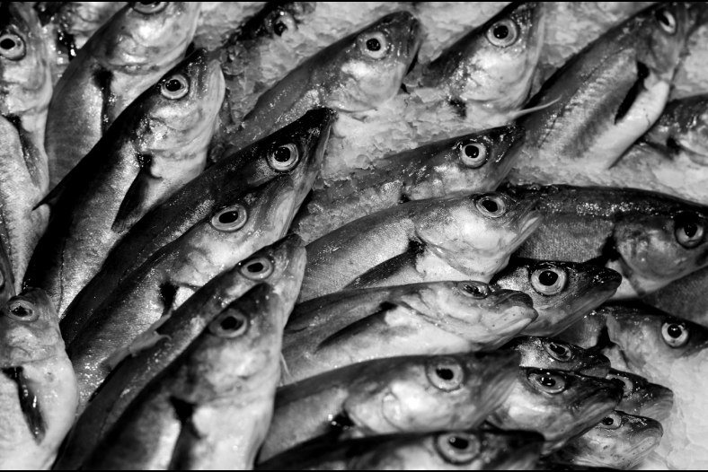 All those eyes....