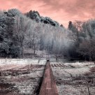 IR of gardners field Narita, Japan