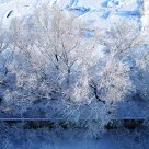 Spring snow