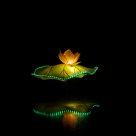 Floating Flower.