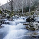 Agua