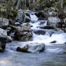 Agua