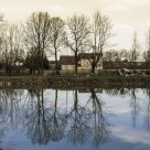 Reflections