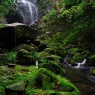 Stream
