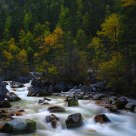 Stream