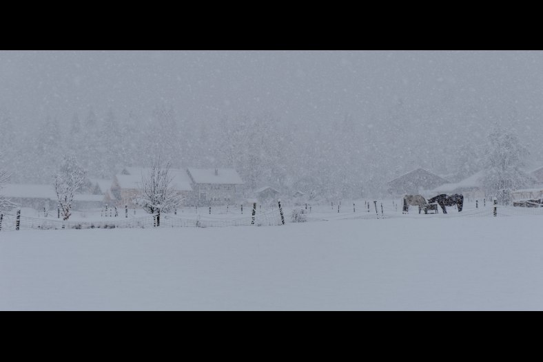 Farm under the snow