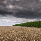 storm front