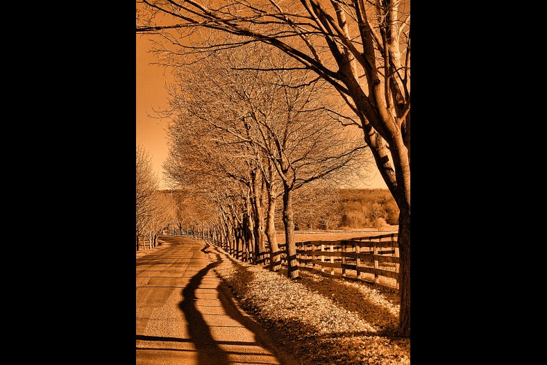 November Road