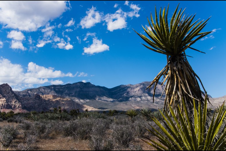 Red Rock Canyon