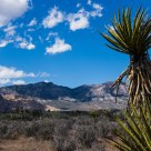 Red Rock Canyon