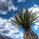Red Rock Canyon