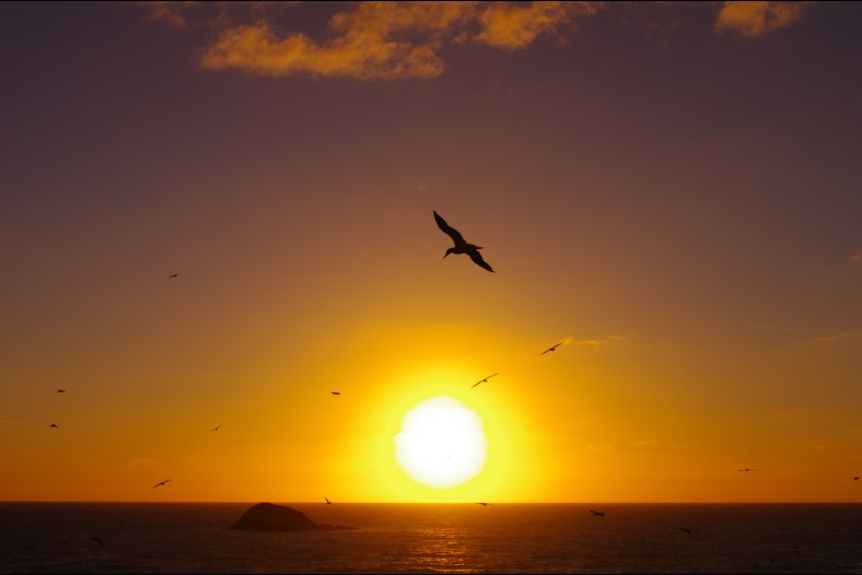 Sunset at Muriwai