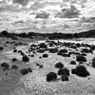 Desert