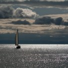 Sail away