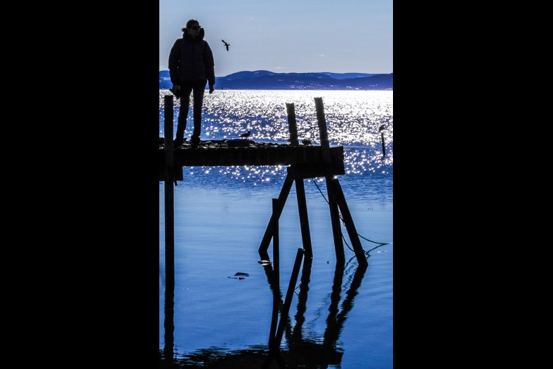 Blue evening