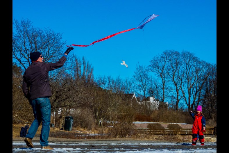High fliers
