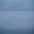 Journée morne sur l'étang de Vic