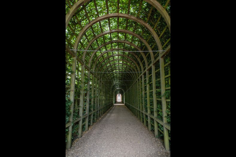 Daylight filtering into the arbour at Hampton Court Palace
